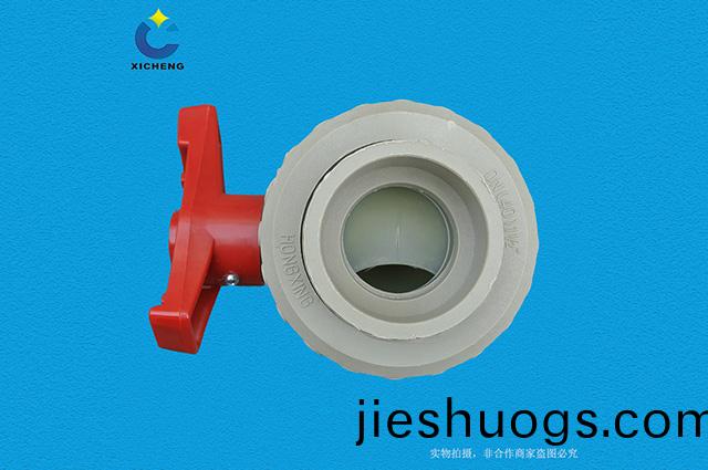 PP活接(jie)毬(qiu)閥