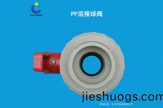 PP活(huo)接毬閥